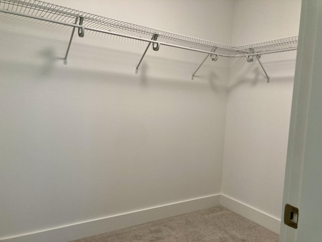 walk in closet with carpet flooring