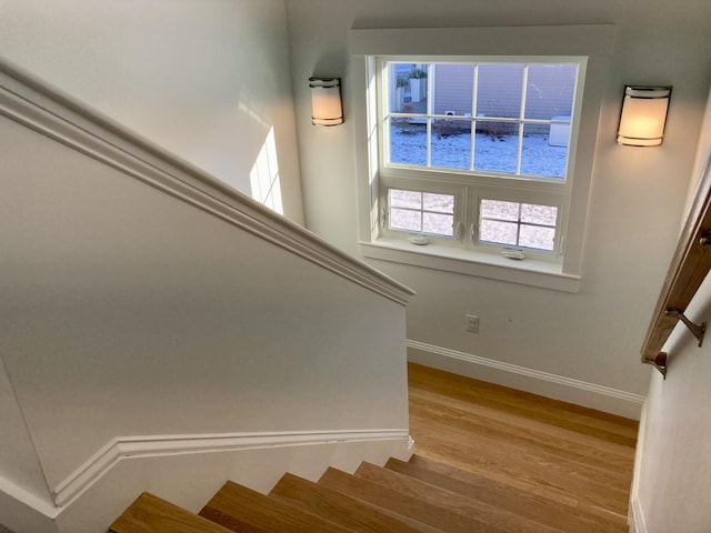 stairway with hardwood / wood-style floors