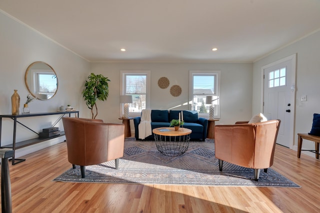 living room with light hardwood / wood-style floors and crown molding