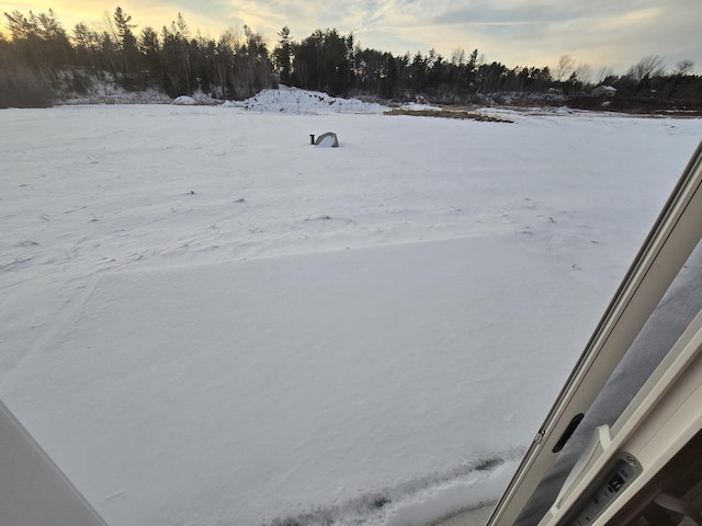 view of snowy yard