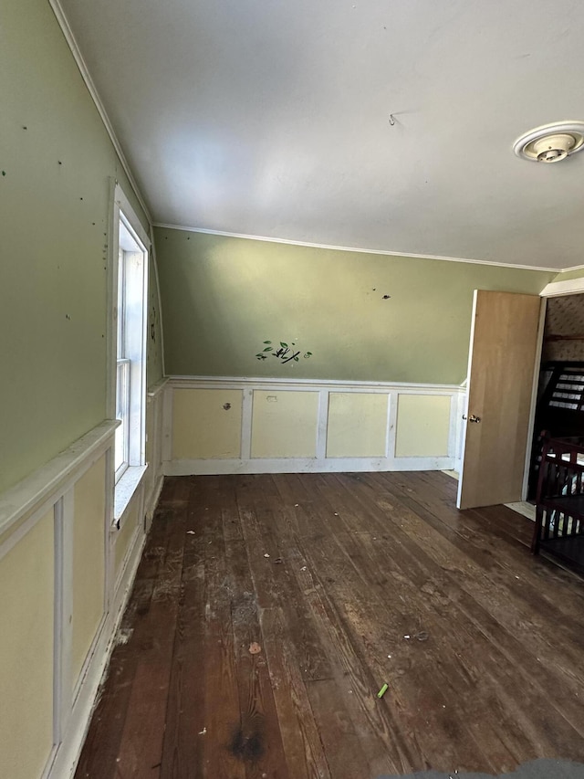 additional living space featuring dark wood-type flooring