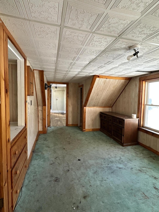 additional living space with carpet flooring