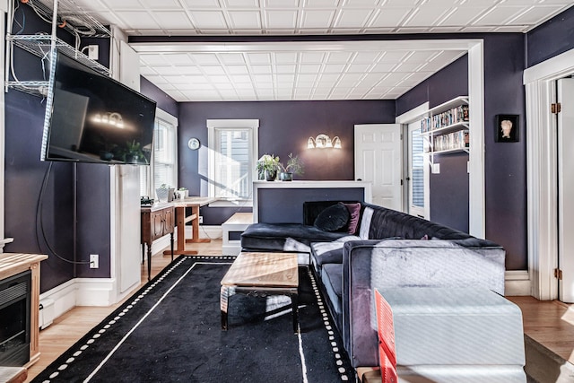 living room featuring wood-type flooring