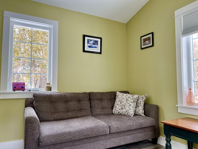 living room featuring wood-type flooring and plenty of natural light