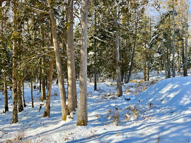 view of snow covered land