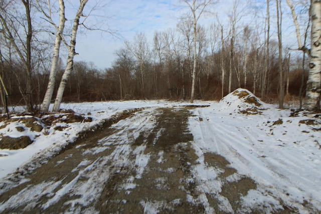 LOT66 Town Farm Rd, Bucksport ME, 04416 land for sale