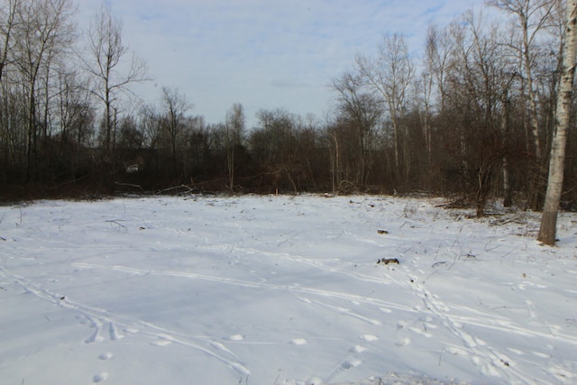 Listing photo 3 for LOT66 Town Farm Rd, Bucksport ME 04416