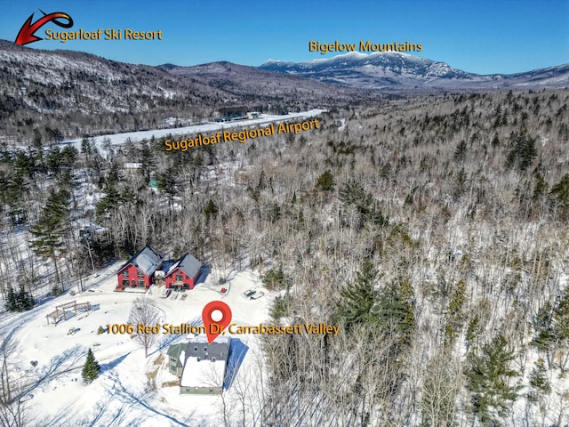 snowy aerial view featuring a mountain view and a forest view