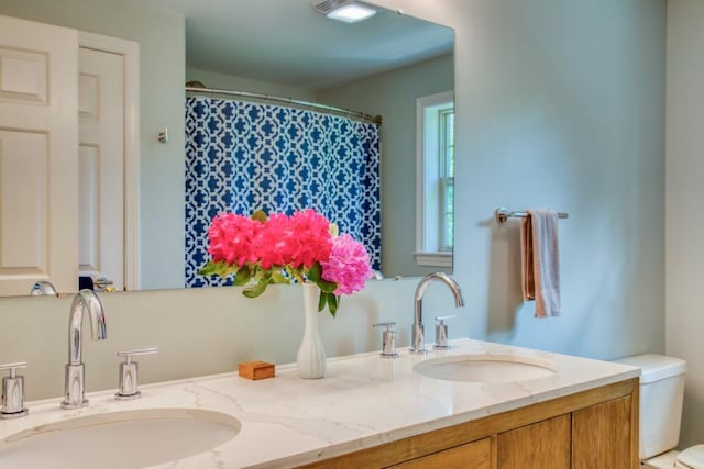 bathroom with toilet and vanity