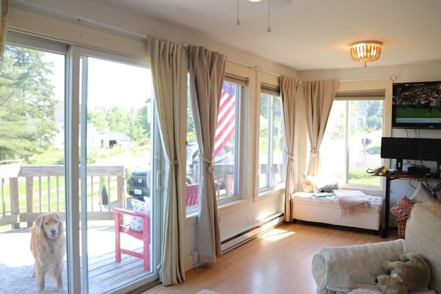 doorway featuring a baseboard radiator, plenty of natural light, and light hardwood / wood-style flooring
