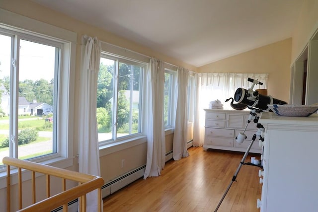 doorway featuring light hardwood / wood-style floors, vaulted ceiling, and a wealth of natural light