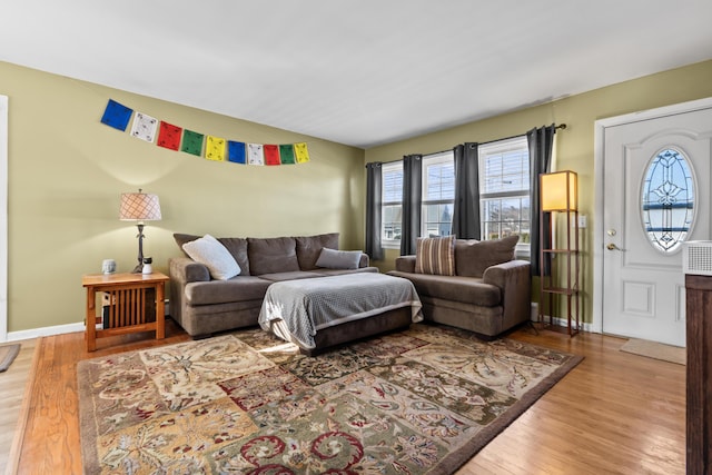 living room with wood-type flooring