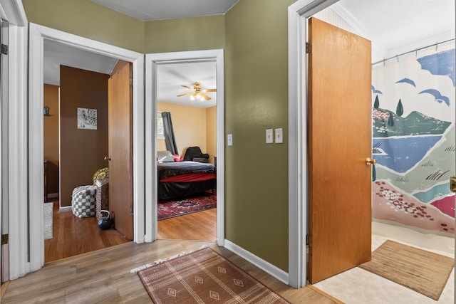 corridor with wood-type flooring