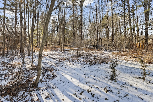 view of snow covered land