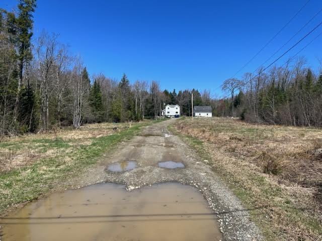 98 White Schoolhouse Rd, Corinth, ME 04427 - view of yard with a view of trees