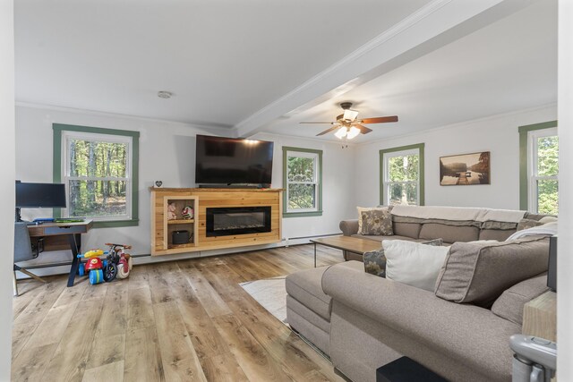 16 Hayden Hill Rd, Litchfield, ME 04350 - living room featuring crown molding, plenty of natural light, wood finished floors, ceiling fan, and a glass covered fireplace