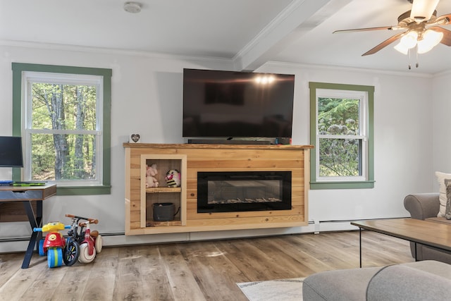 16 Hayden Hill Rd, Litchfield, ME 04350 - living room with plenty of natural light, ornamental molding, wood finished floors, a ceiling fan, and a glass covered fireplace