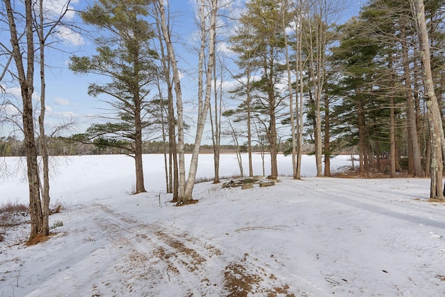 view of yard layered in snow