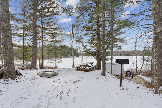 view of snowy yard