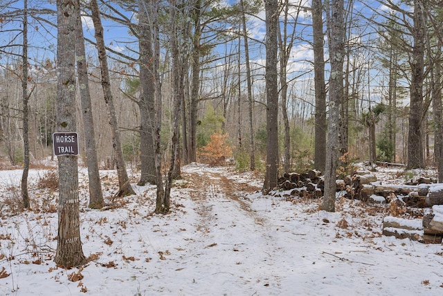 view of snow covered land