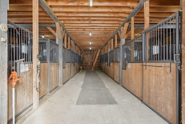 view of horse barn