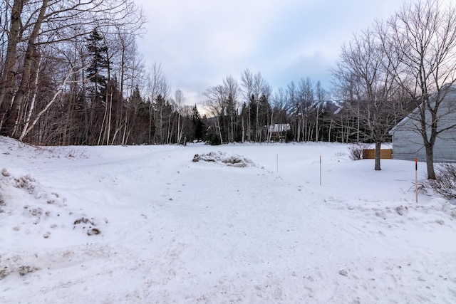 view of yard covered in snow