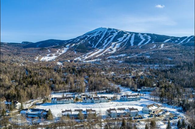 view of mountain feature