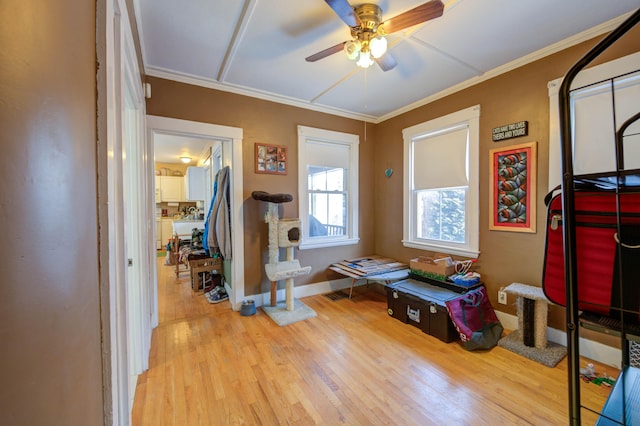 misc room featuring ornamental molding, wood-type flooring, and ceiling fan