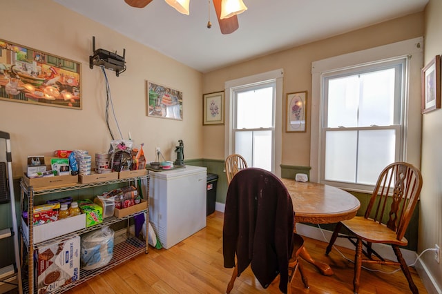 dining space with ceiling fan and light wood-type flooring