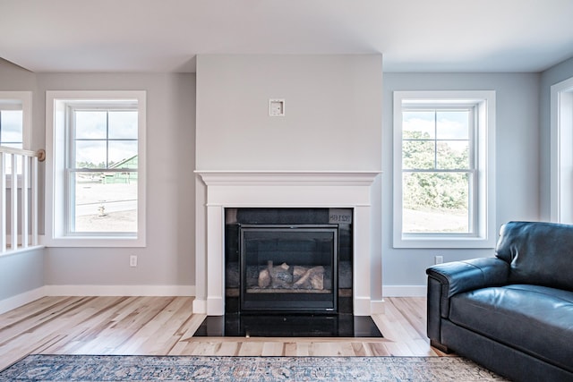 living room featuring light wood-type flooring