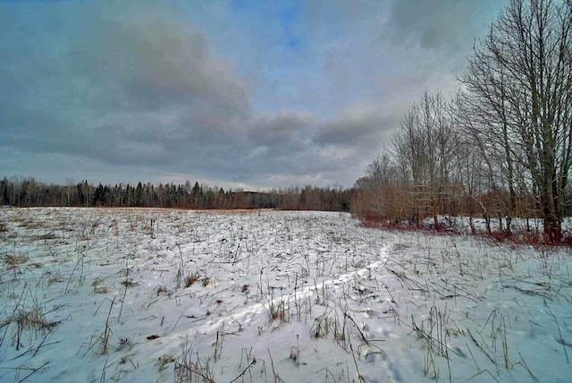 view of yard covered in snow