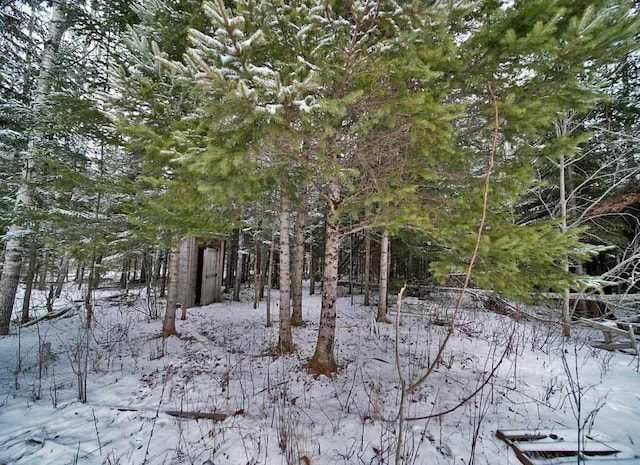 view of snow covered land