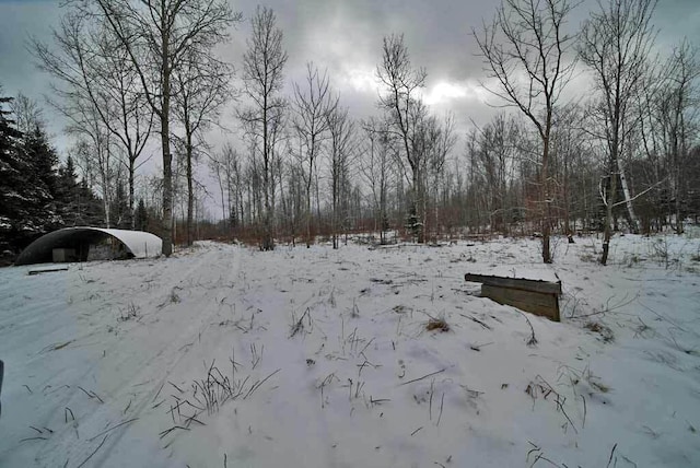 view of yard covered in snow