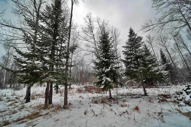 view of snow covered land