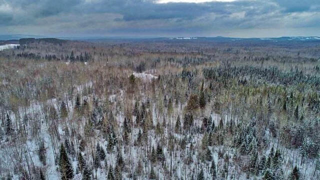 snowy aerial view featuring a mountain view