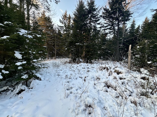 snowy view with a view of trees