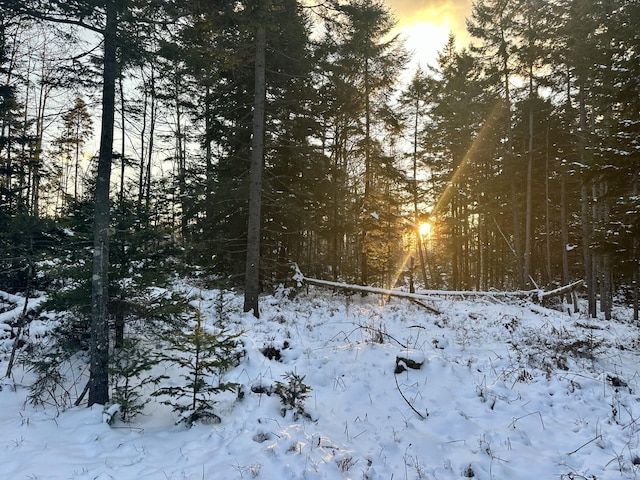 view of snowy view