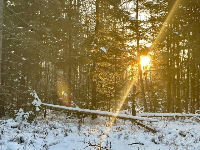 view of snowy landscape