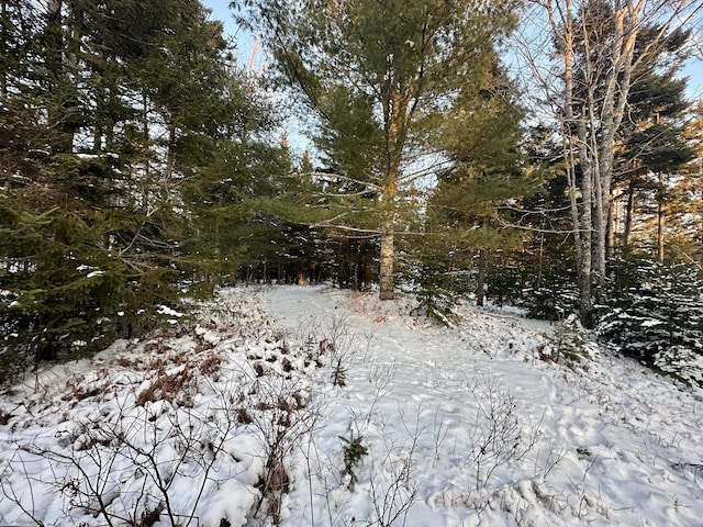 view of snowy landscape