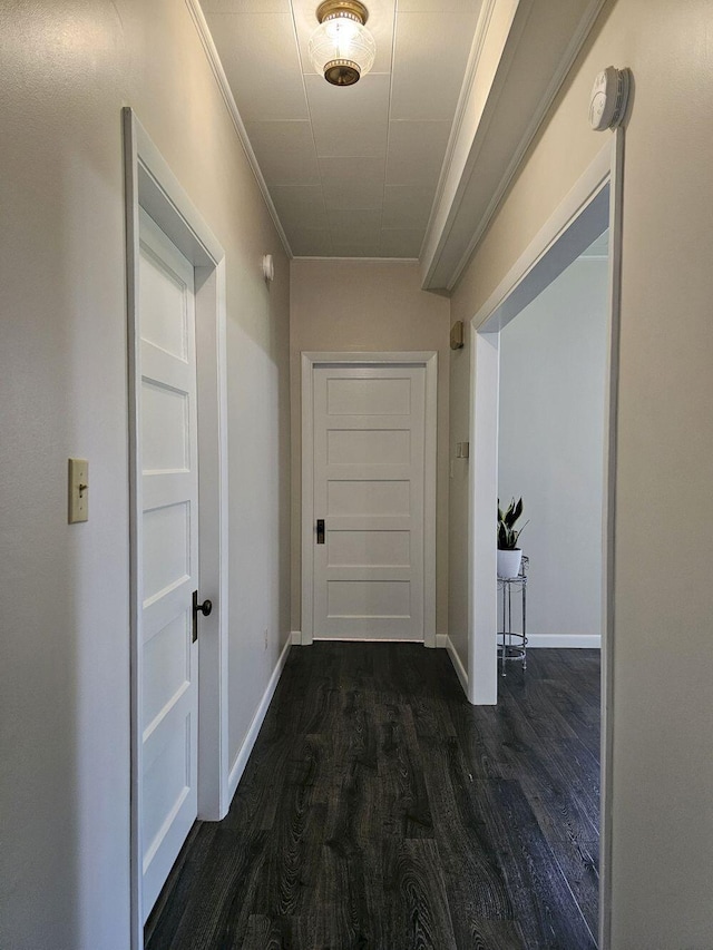 hall featuring dark hardwood / wood-style flooring and ornamental molding