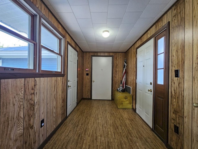 doorway featuring dark wood-type flooring and wood walls