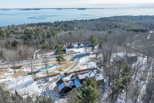 snowy aerial view with a water view