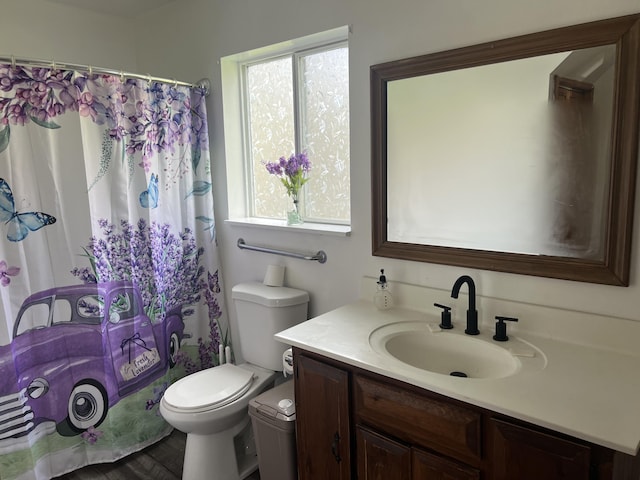 bathroom with a wealth of natural light, toilet, vanity, and a shower with shower curtain