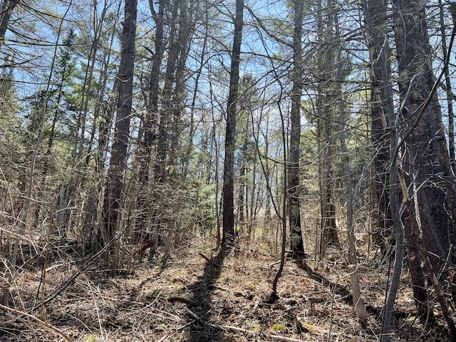 8 Pine Hill Dr, Belfast, ME 04915 - view of landscape