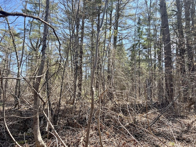 8 Pine Hill Dr, Belfast, ME 04915 - view of landscape
