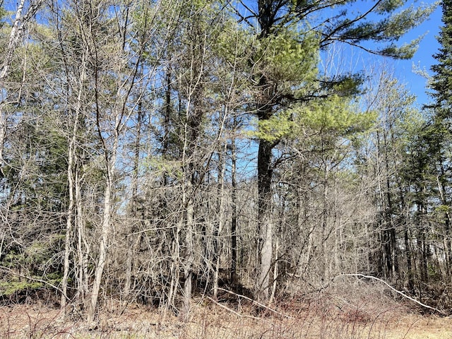 8 Pine Hill Dr, Belfast, ME 04915 - view of local wilderness
