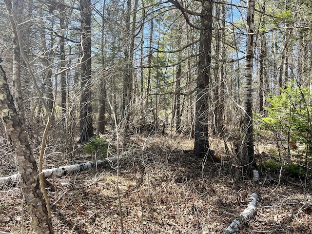 8 Pine Hill Dr, Belfast, ME 04915 - view of landscape
