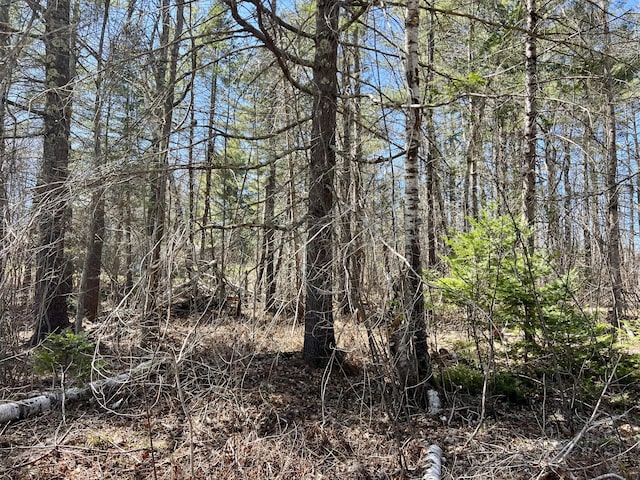 8 Pine Hill Dr, Belfast, ME 04915 - view of nature