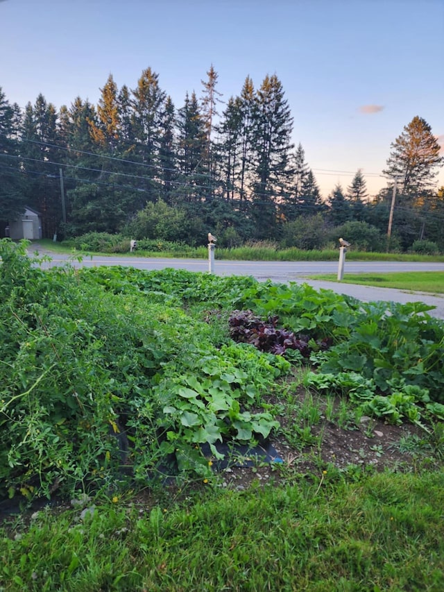 view of yard at dusk