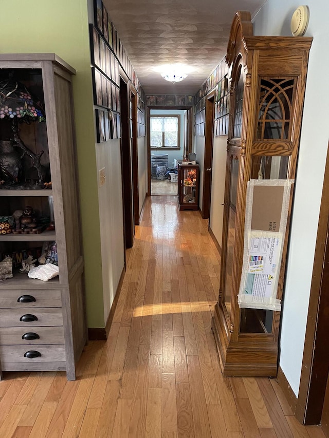 hall featuring light hardwood / wood-style floors